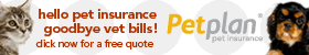 Pet Insurance by Pet Plan